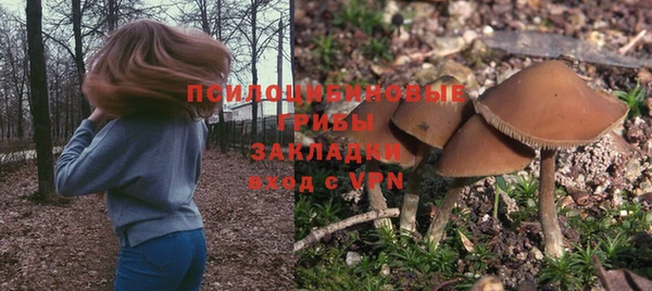 мдпв Волоколамск