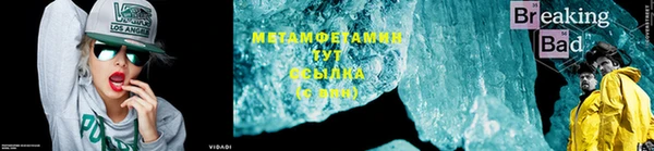 прущие грибы Вязьма