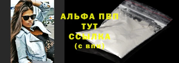 амф Вяземский