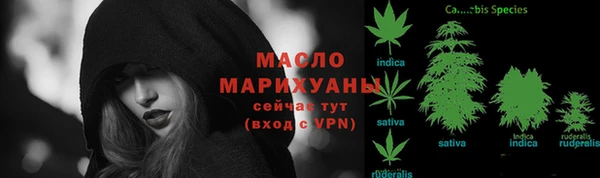 прущие грибы Вязьма