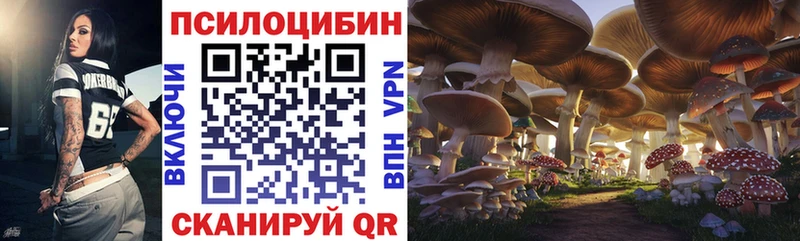 МЕГА как войти  Давлеканово  Псилоцибиновые грибы Cubensis  закладки 